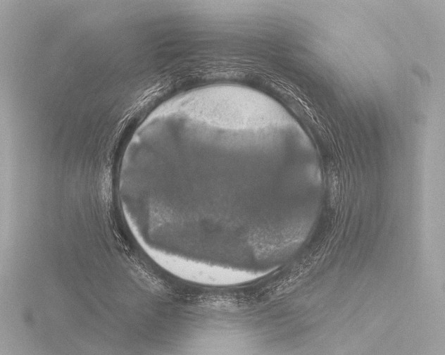 X0000116030729200912181209