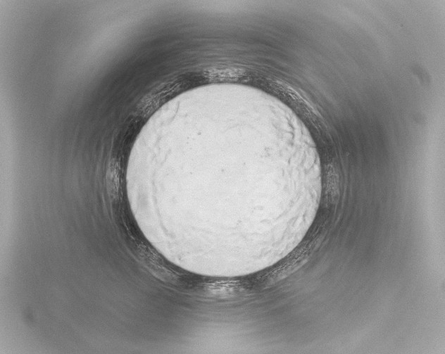 X0000116030761200912181210
