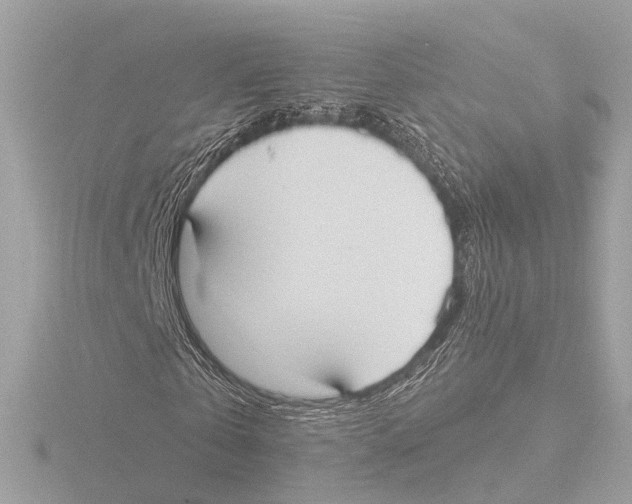 X0000116030769200912181209