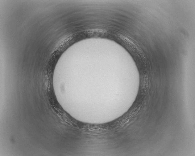 X0000116030774200912181209