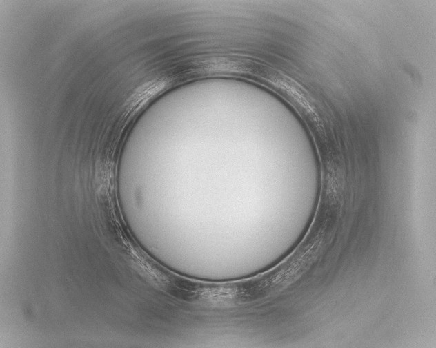 X0000116030793200912181209