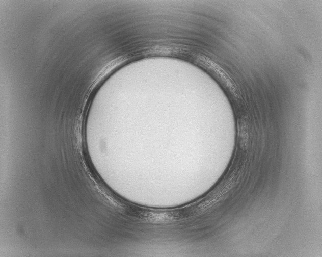 X0000116030794200912181209