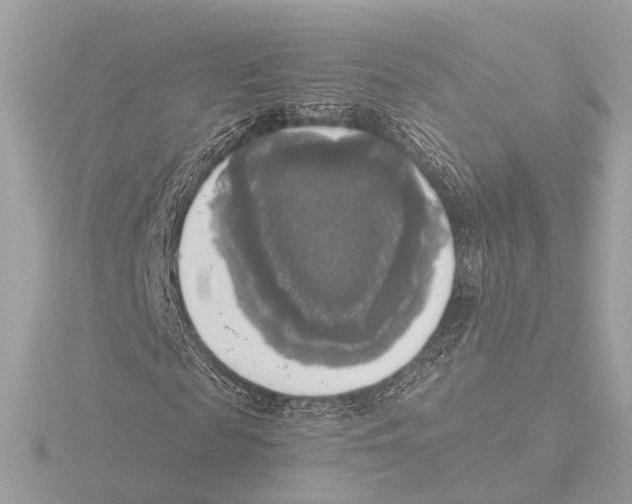 X0000116030817200912181208
