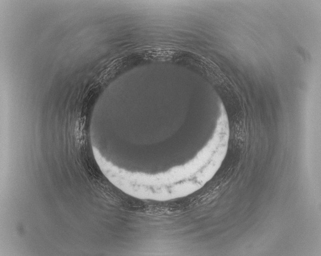 X0000116030818200912181208