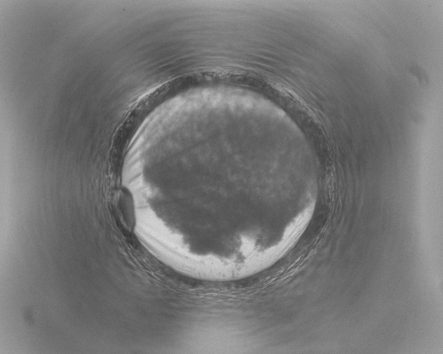X0000116030822200912181208