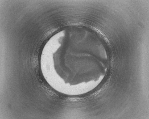 X0000116030825200912181208