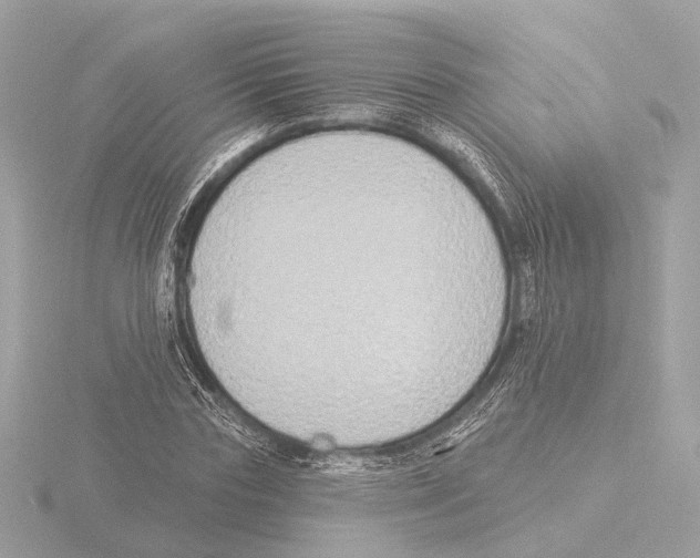 X0000116030827200912181208