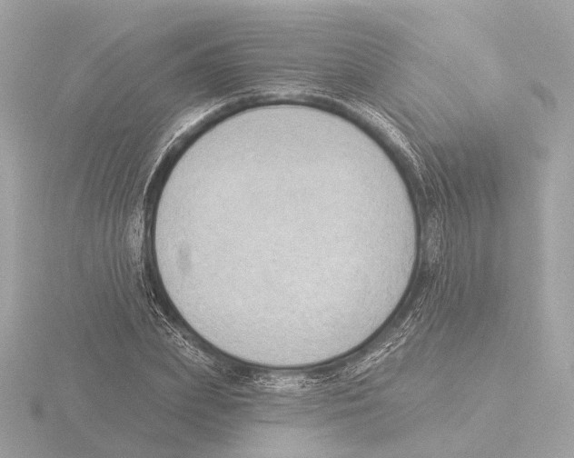 X0000116030831200912181208