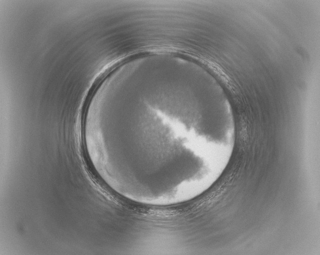 X0000116030840200912181208