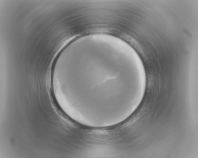 X0000116030844200912181208