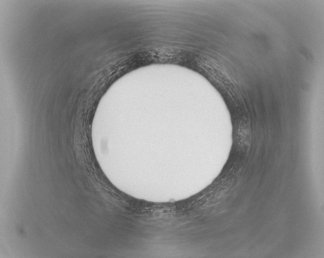 X0000116030865200912181208