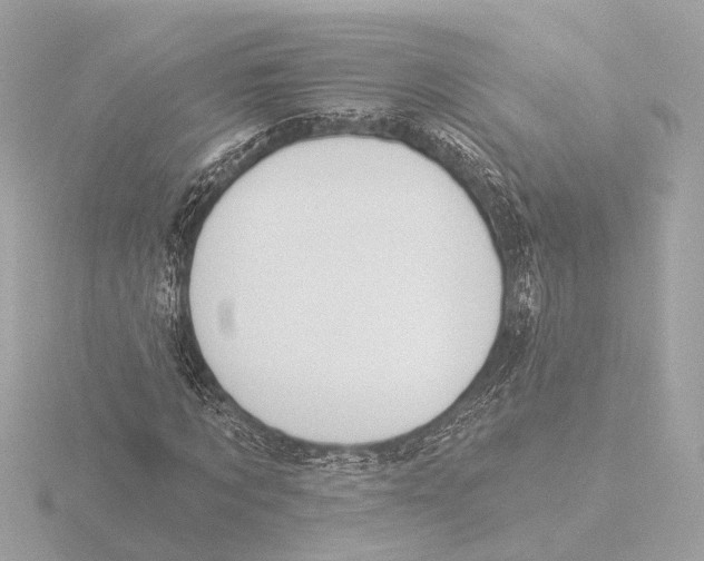 X0000116030869200912181208