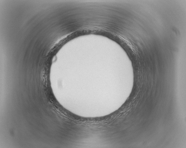 X0000116030872200912181208
