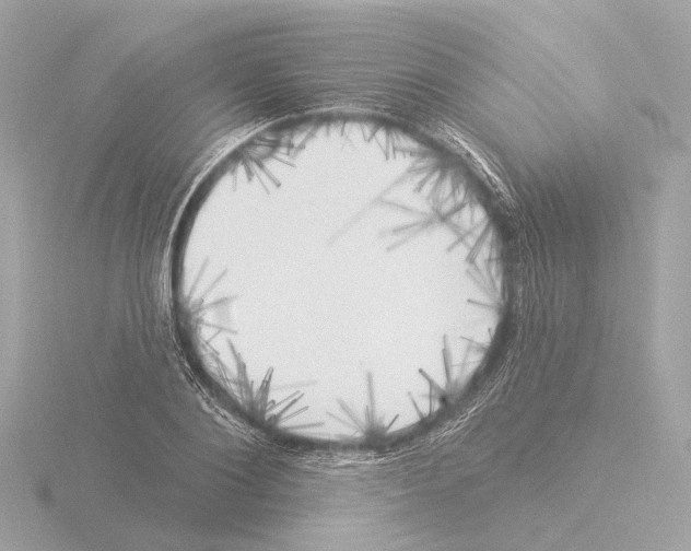 X0000116030884200912181208