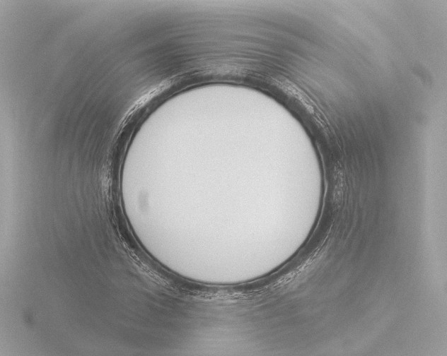 X0000116030922200912181207