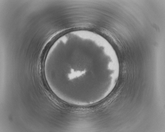 X0000116030923200912181207