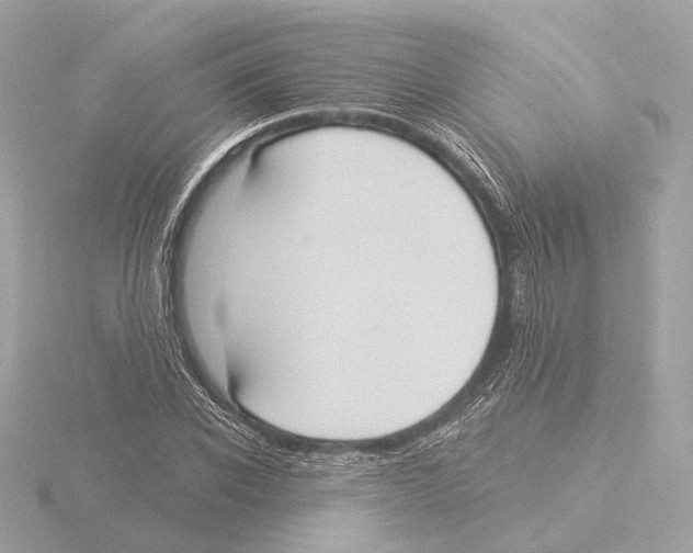 X0000116030926200912181207