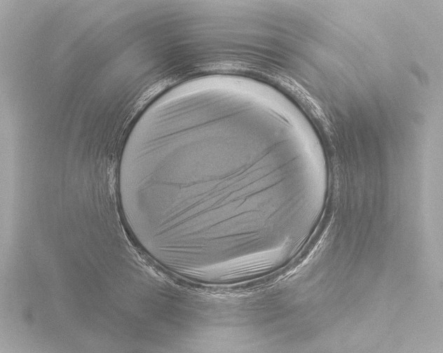 X0000116030945200912181207