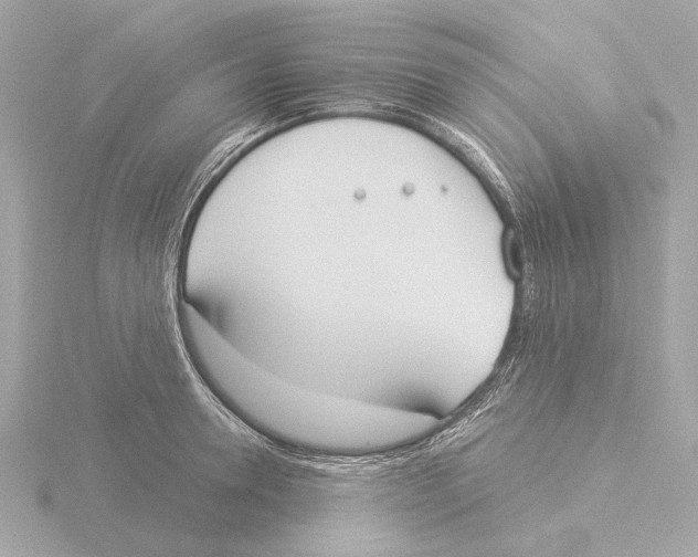 X0000116030946200912181207
