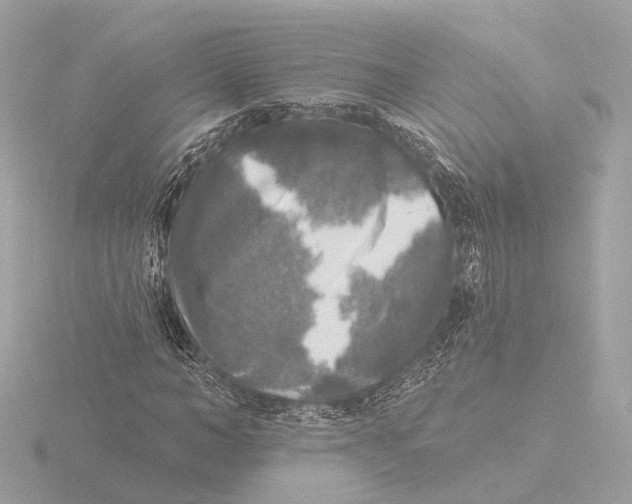 X0000116030966200912181207