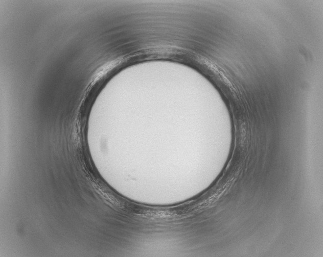 X0000116030970200912181207