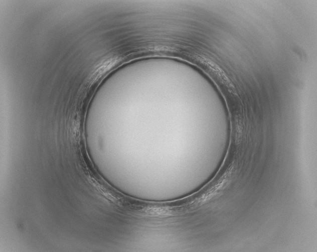 X0000116030977200912181206