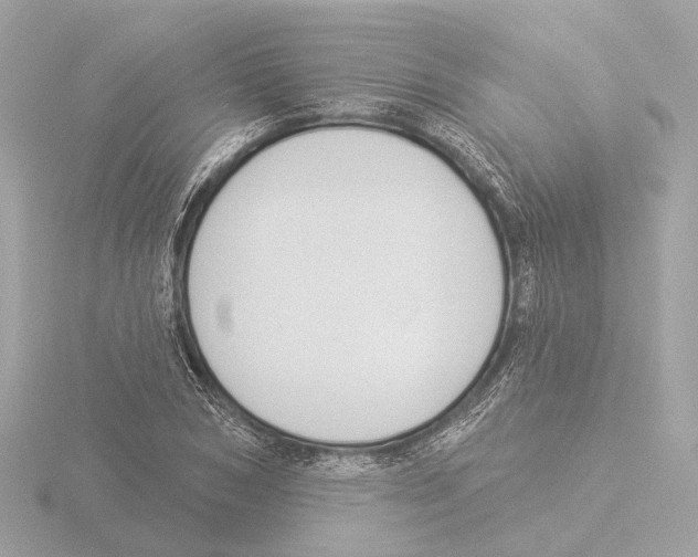 X0000116030978200912181206