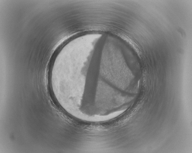 X0000116030983200912181206