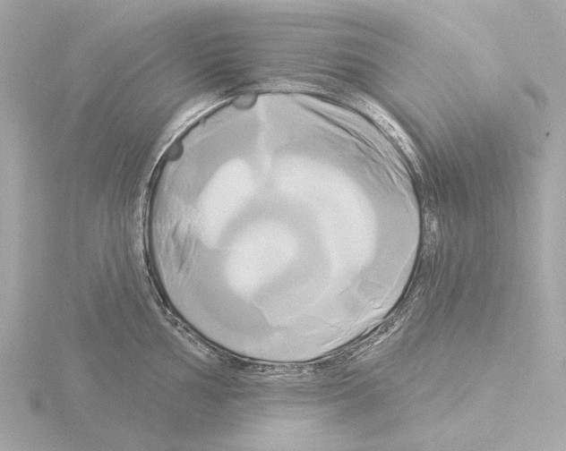 X0000116031002200912181206