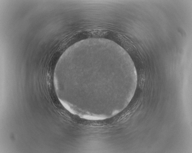 X0000116031010200912181205