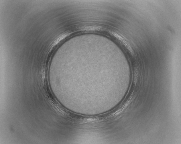 X0000116031017200912181206