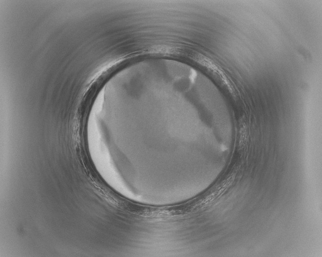 X0000116031019200912181206