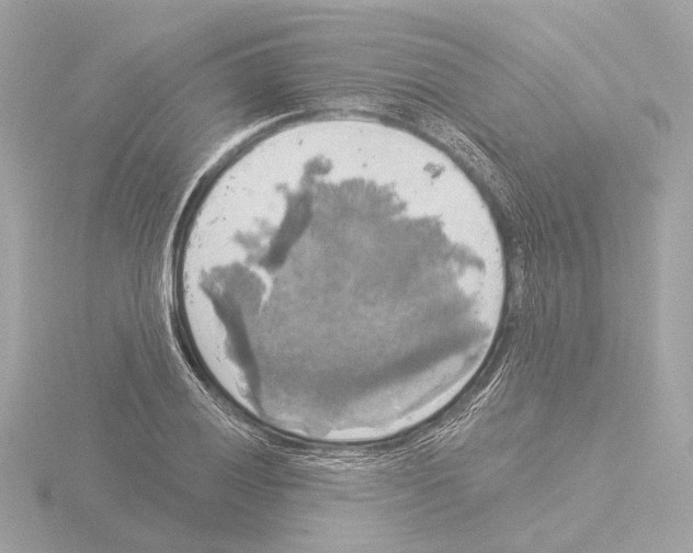 X0000116031028200912181206