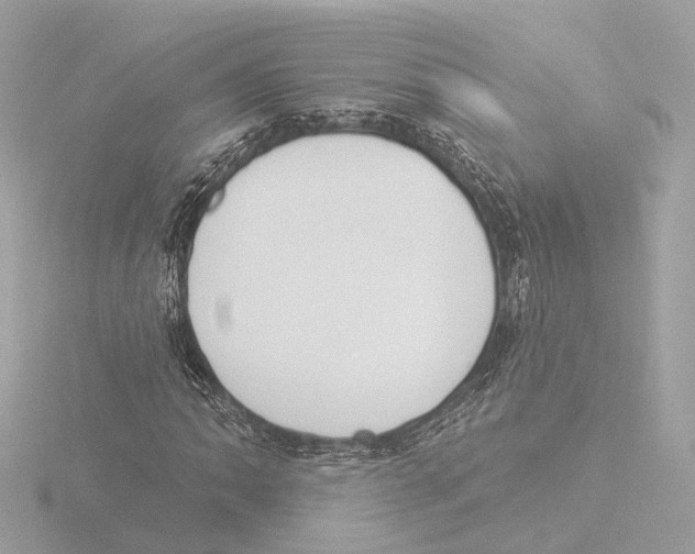 X0000116031062200912181205
