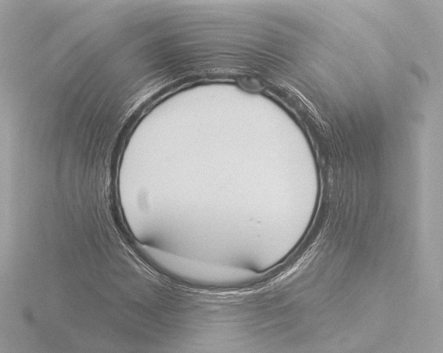 X0000116031065200912181205
