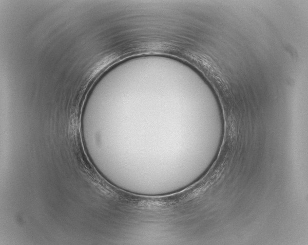 X0000116031073200912181205