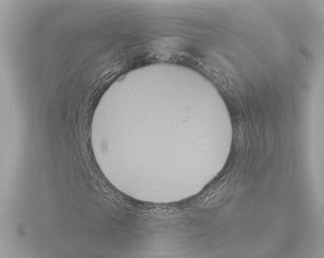 X0000116031105200912181204