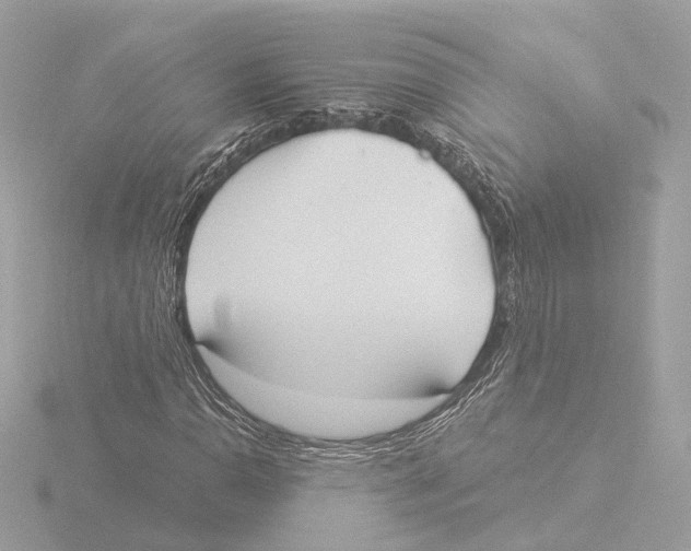 X0000116031110200912181204