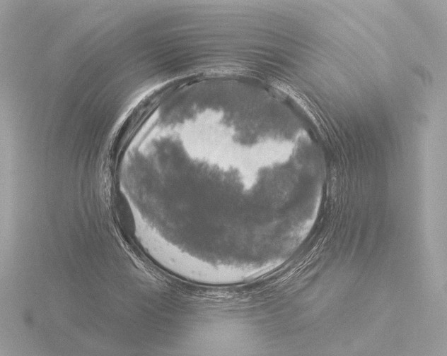 X0000116031115200912181204