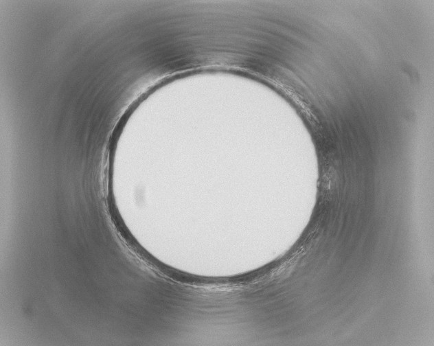 X0000116031126200912181204
