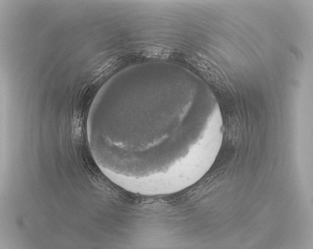X0000116031154200912181204