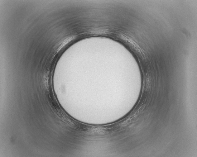 X0000116031162200912181204