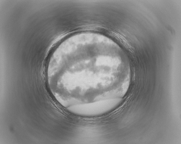 X0000116031164200912181204