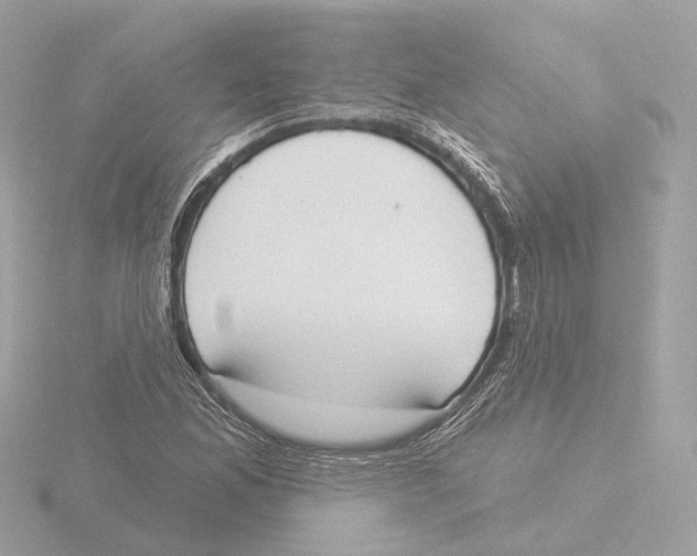 X0000116031165200912181204