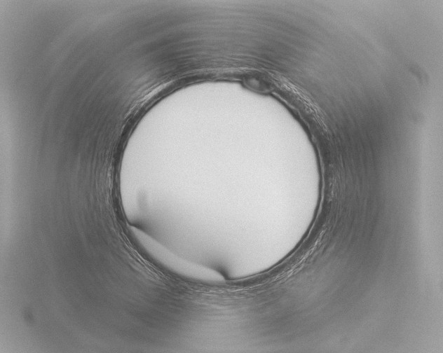 X0000116031169200912181204