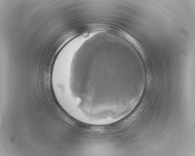 X0000116031194200912181204