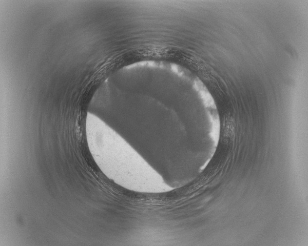 X0000116031202200912181203