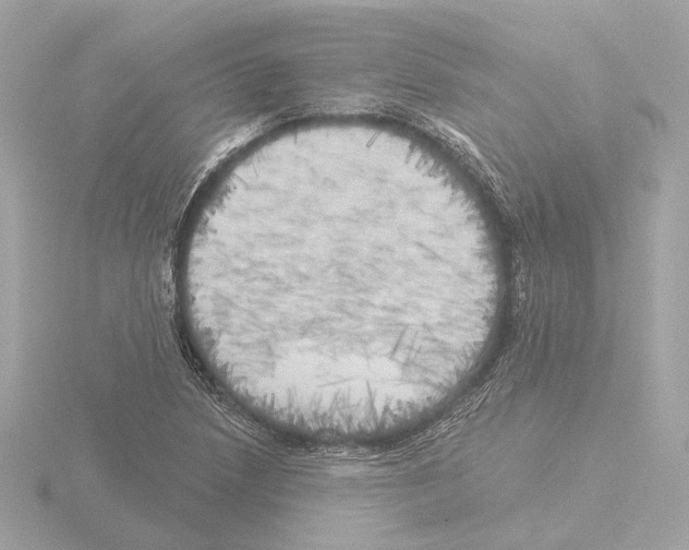 X0000116031218200912181203
