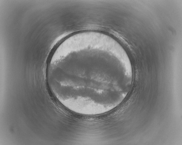 X0000116031222200912181203