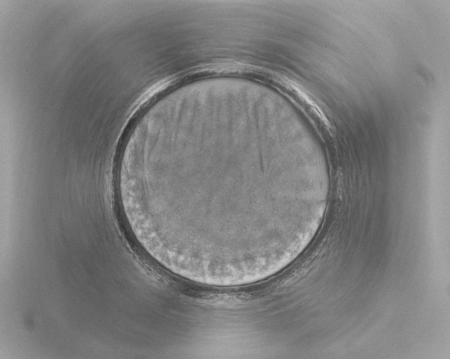 X0000116031229200912181203